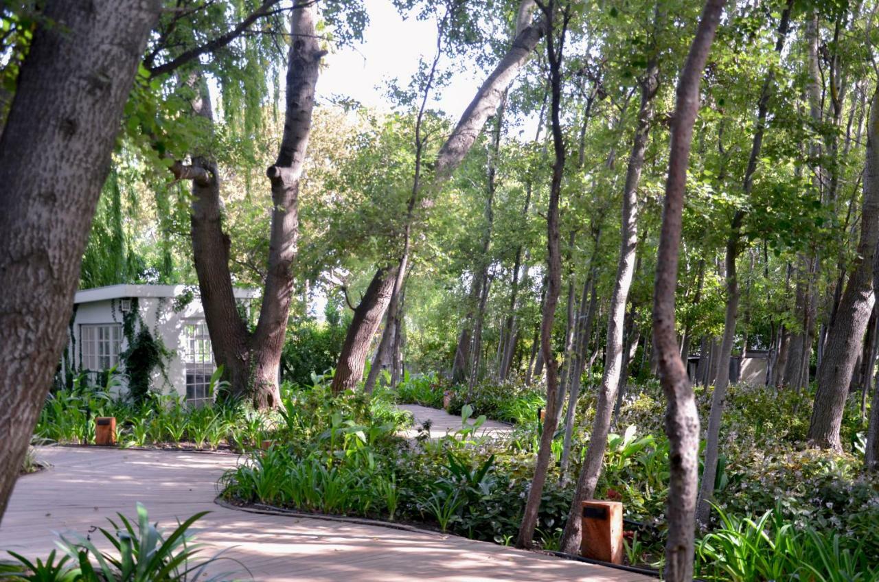 Hotel La Paris Estate Franschhoek Esterno foto